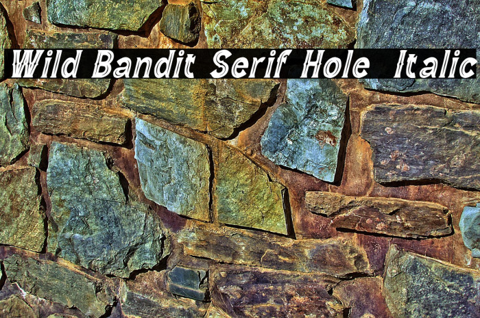 Wild Bandit Serif Hole  Italic Example 1