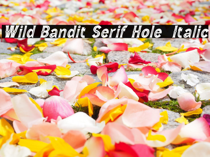 Wild Bandit Serif Hole  Italic Example 2