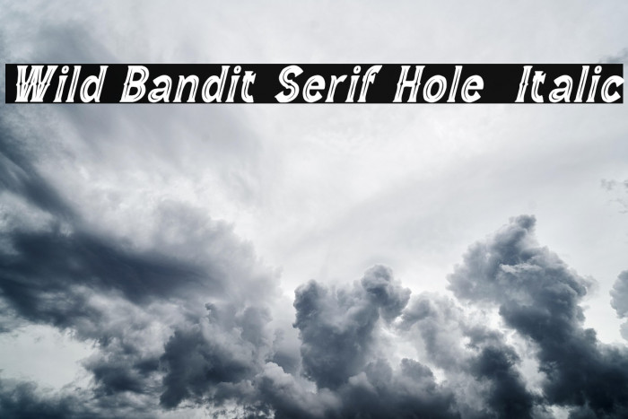 Wild Bandit Serif Hole  Italic Example 3