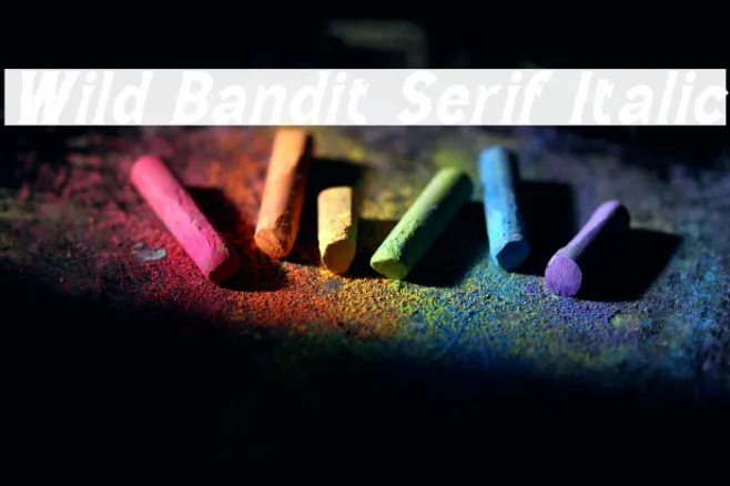 Wild Bandit Serif Italic Example 1