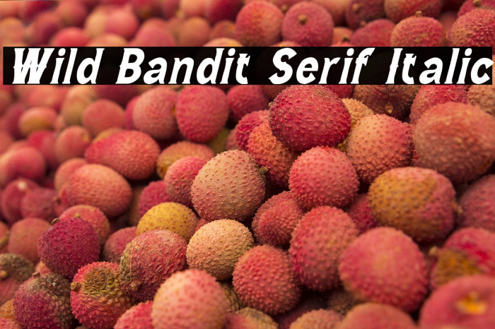 Wild Bandit Serif Italic Example 2