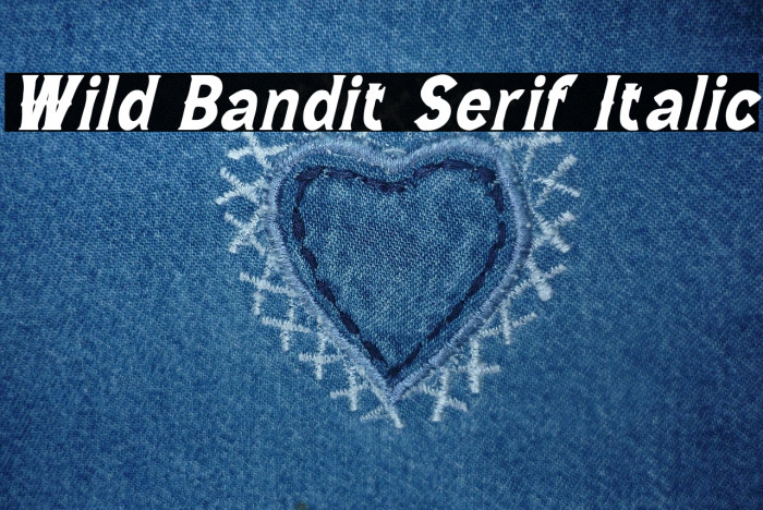 Wild Bandit Serif Italic Example 3