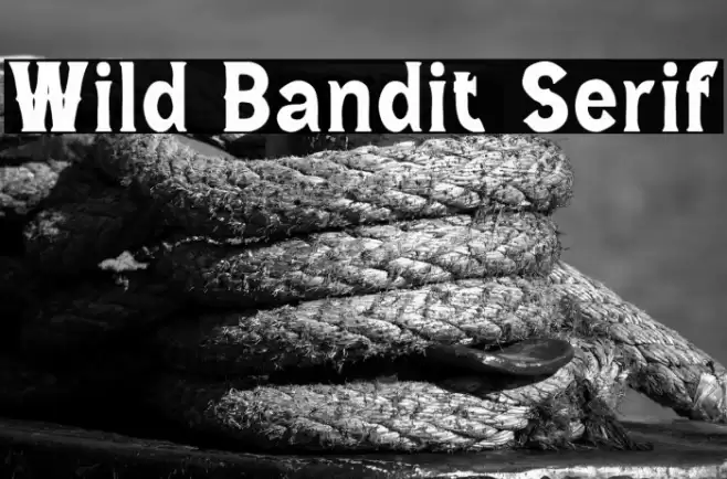Wild Bandit Serif Font examples