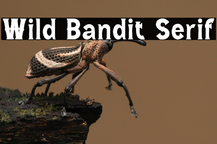 Wild Bandit Serif Example 2