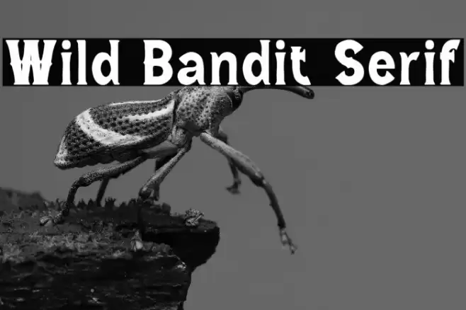 Wild Bandit Serif Font examples
