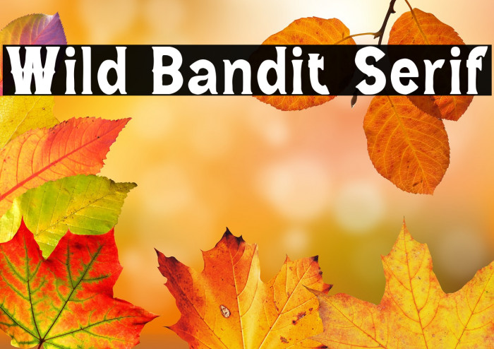 Wild Bandit Serif Example 3