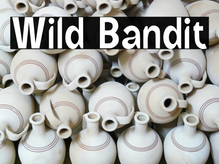 Wild Bandit Example 1