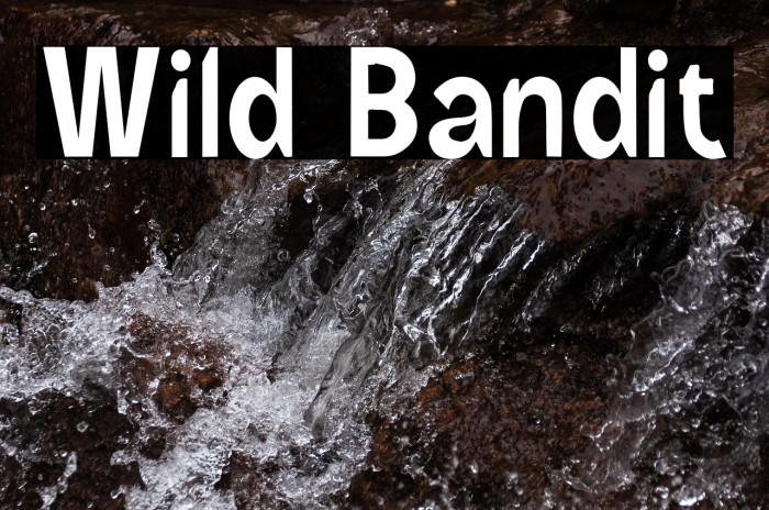 Wild Bandit Example 2