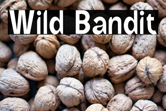 Wild Bandit Example 3