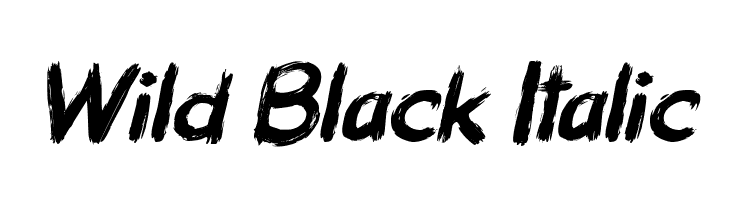 Wild Black Italic  Free Fonts Download
