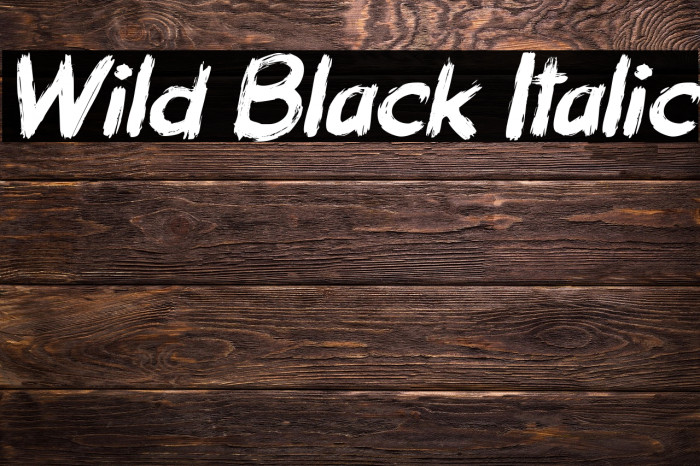 Wild Black Italic Example 2