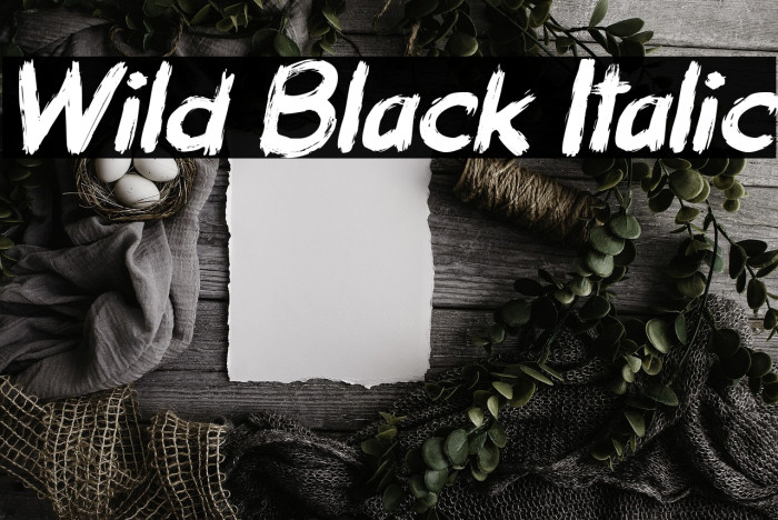 Wild Black Italic Example 3