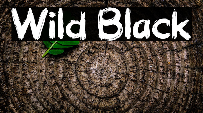 Wild Black Example 1