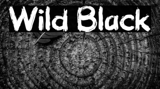 Wild Black Font examples