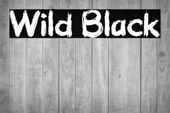Wild Black Font examples