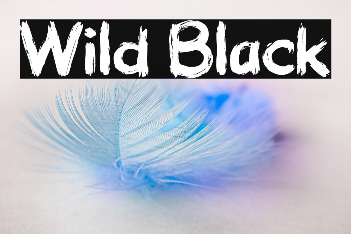 Wild Black Example 3