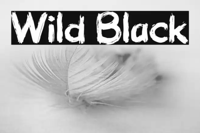 Wild Black Font examples