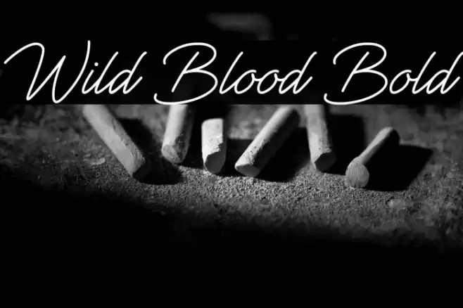 Wild Blood Bold Font examples