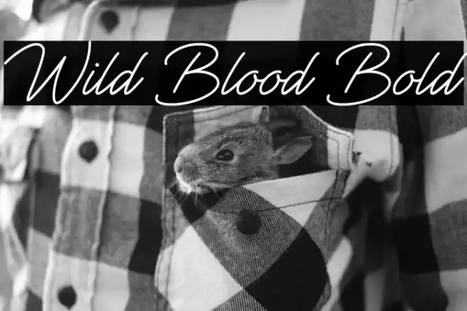 Wild Blood Bold Font examples