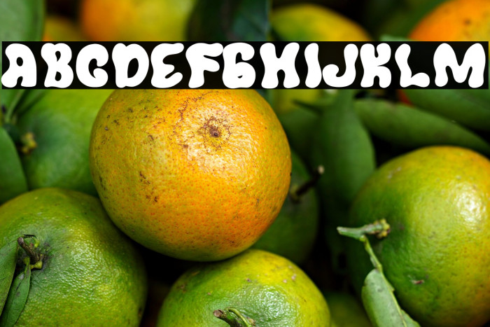 Wild Brain Example 1