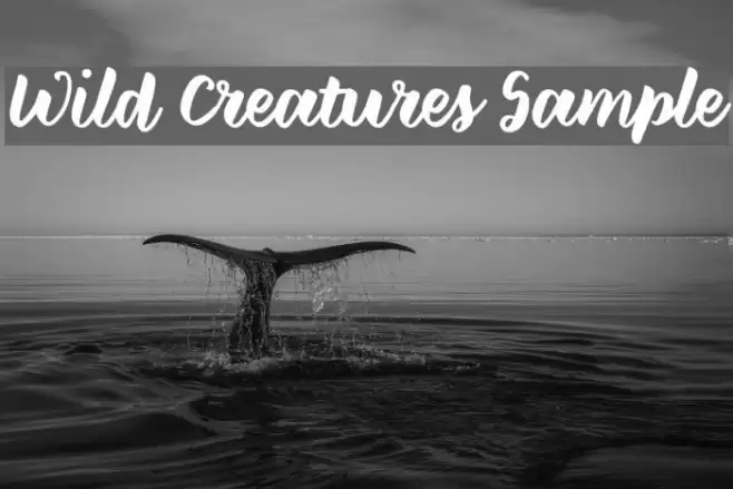 Wild Creatures Sample Font examples