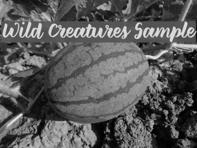 Wild Creatures Sample Font examples