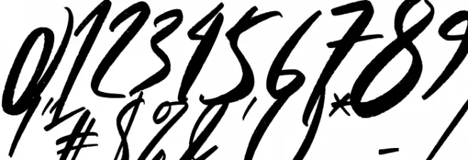 Wild Crow Italic Font OTHER CHARS