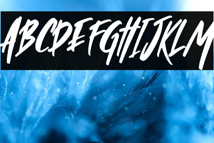 Wild Crow Italic Example 1