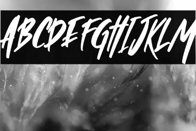 Wild Crow Italic Font examples