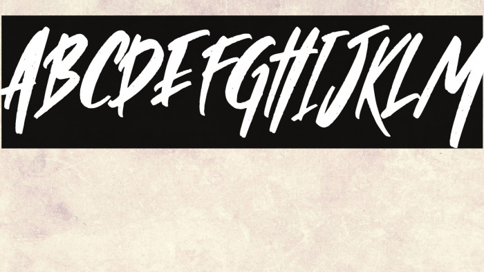 Wild Crow Italic Example 2