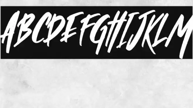 Wild Crow Italic Font examples