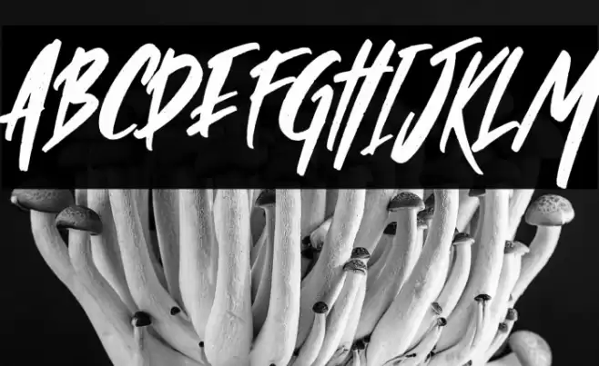 Wild Crow Italic Font examples