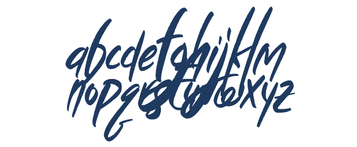 Wild Crow Italic Lowercase