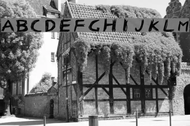 Wild Freak Font examples