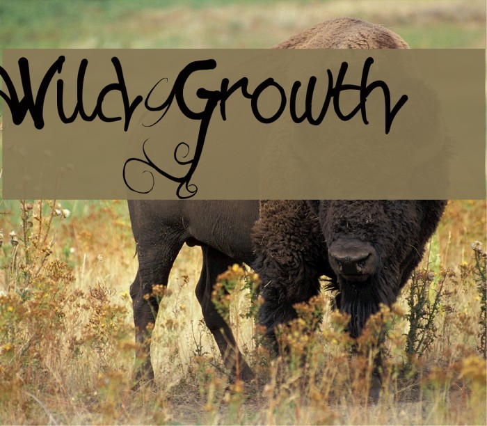 Wild Growth Font examples