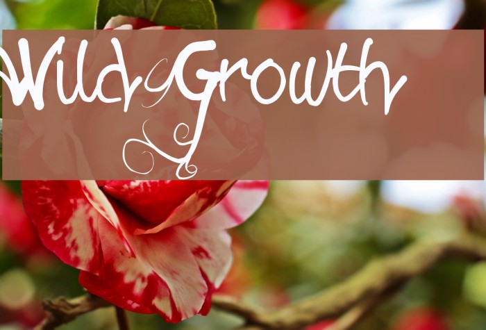 Wild Growth Font examples