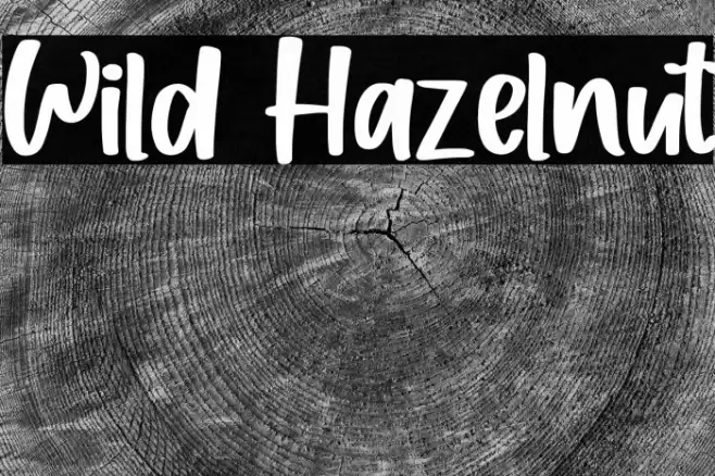 Wild Hazelnut Font examples