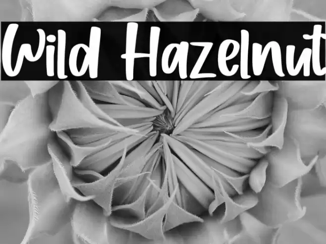 Wild Hazelnut Font examples