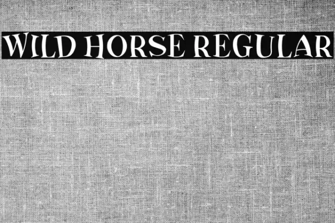 Wild Horse Regular Font examples