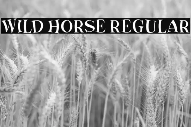 Wild Horse Regular Font examples