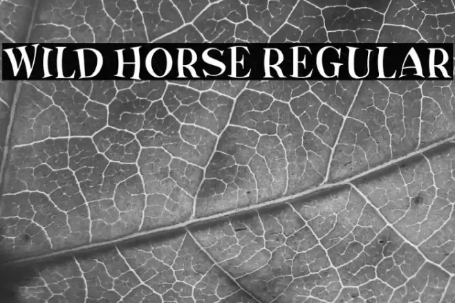 Wild Horse Regular Font examples