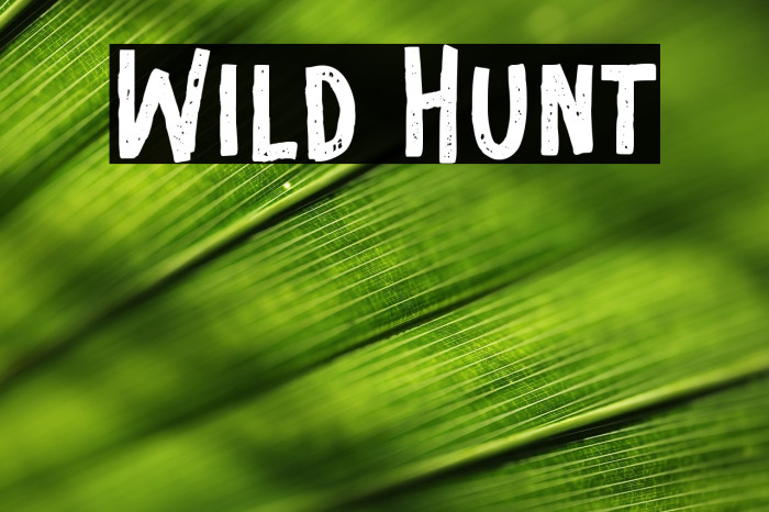 Wild Hunt Example 1