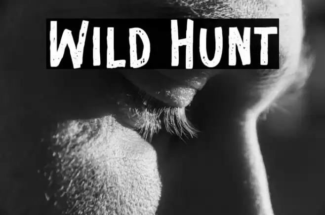 Wild Hunt Font examples