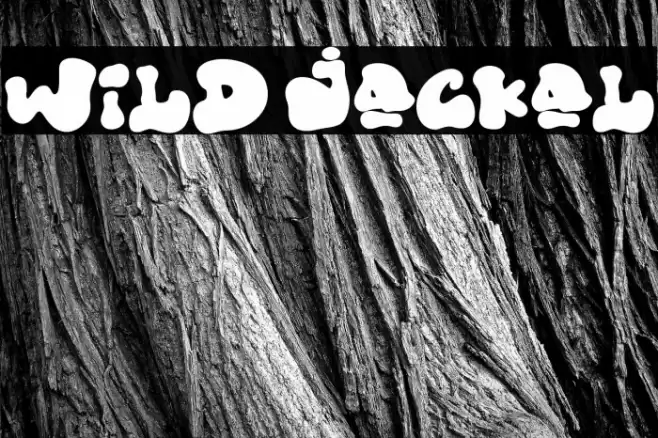 Wild Jackal Font examples