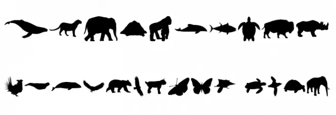 Wild Life Font OTHER CHARS