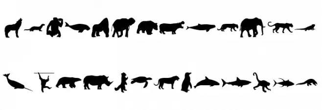Wild Life Schriftart Groß