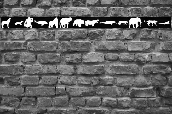 Wild Life Font examples