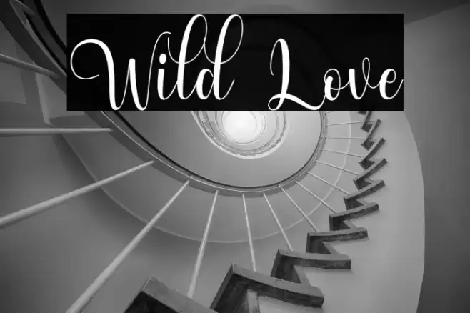 Wild Love Font examples