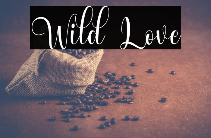 Wild Love Example 2