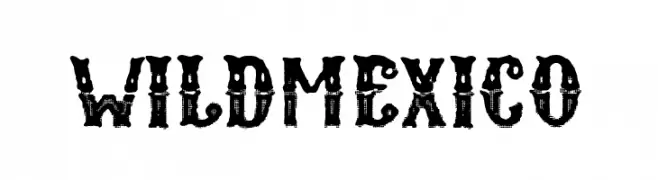 Wild Mexico  Frei Schriftart Herunterladen
